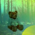 'Teddy Bears' Picnic Concert'