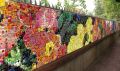 Wall of Flowers gaat door: foto’s insturen nu mogelijk