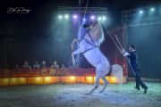 Circus Renz bezoekt Uithoorn